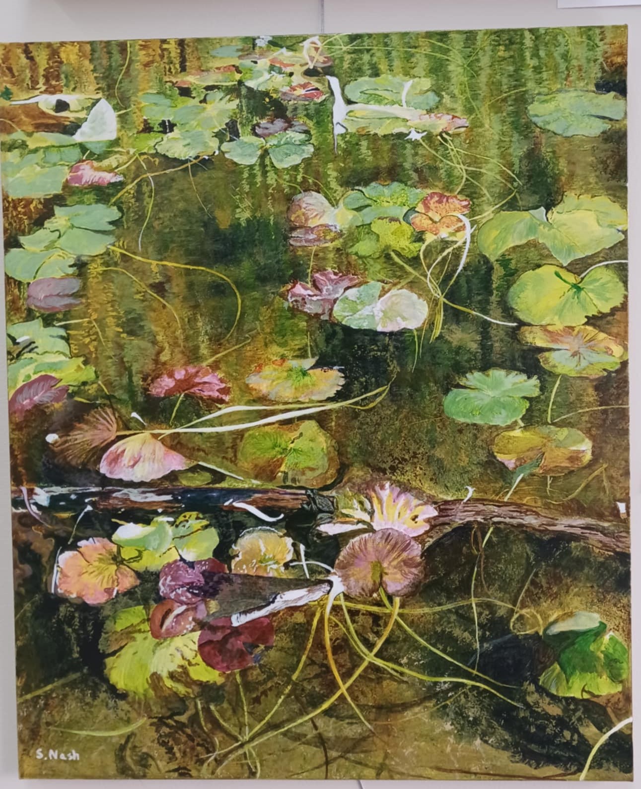 Kaloya Lily Pads by Shirley Nash